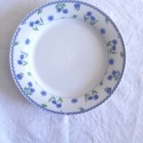 Dessert plates
