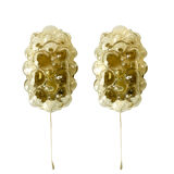 Paire d'appliques Helena Tynell 1960