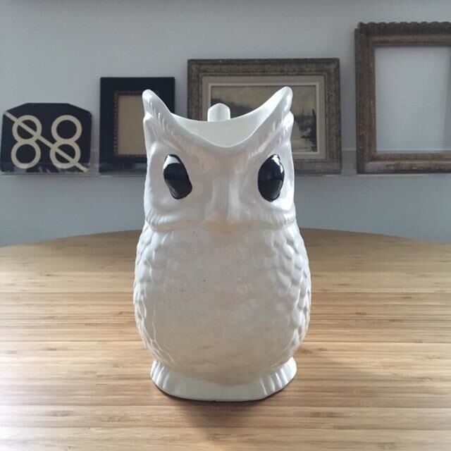 Owl owl pichet in dabbling