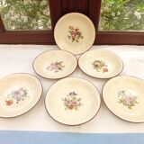 6 assiettes creuses japon / Salins