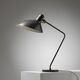 Lampe de bureau édition caillat, jean-boris lacroix, 1960s