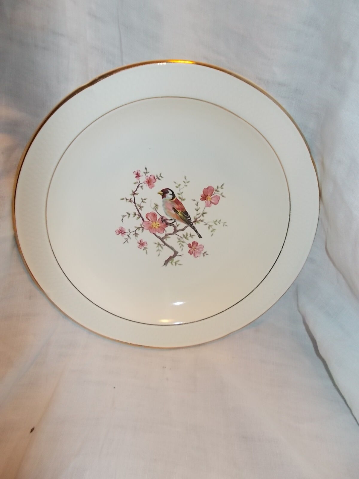 Suite 10 hollow plates saline France