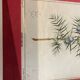 Planche botanique genevrier fond tissu cadre bois rose vintage
