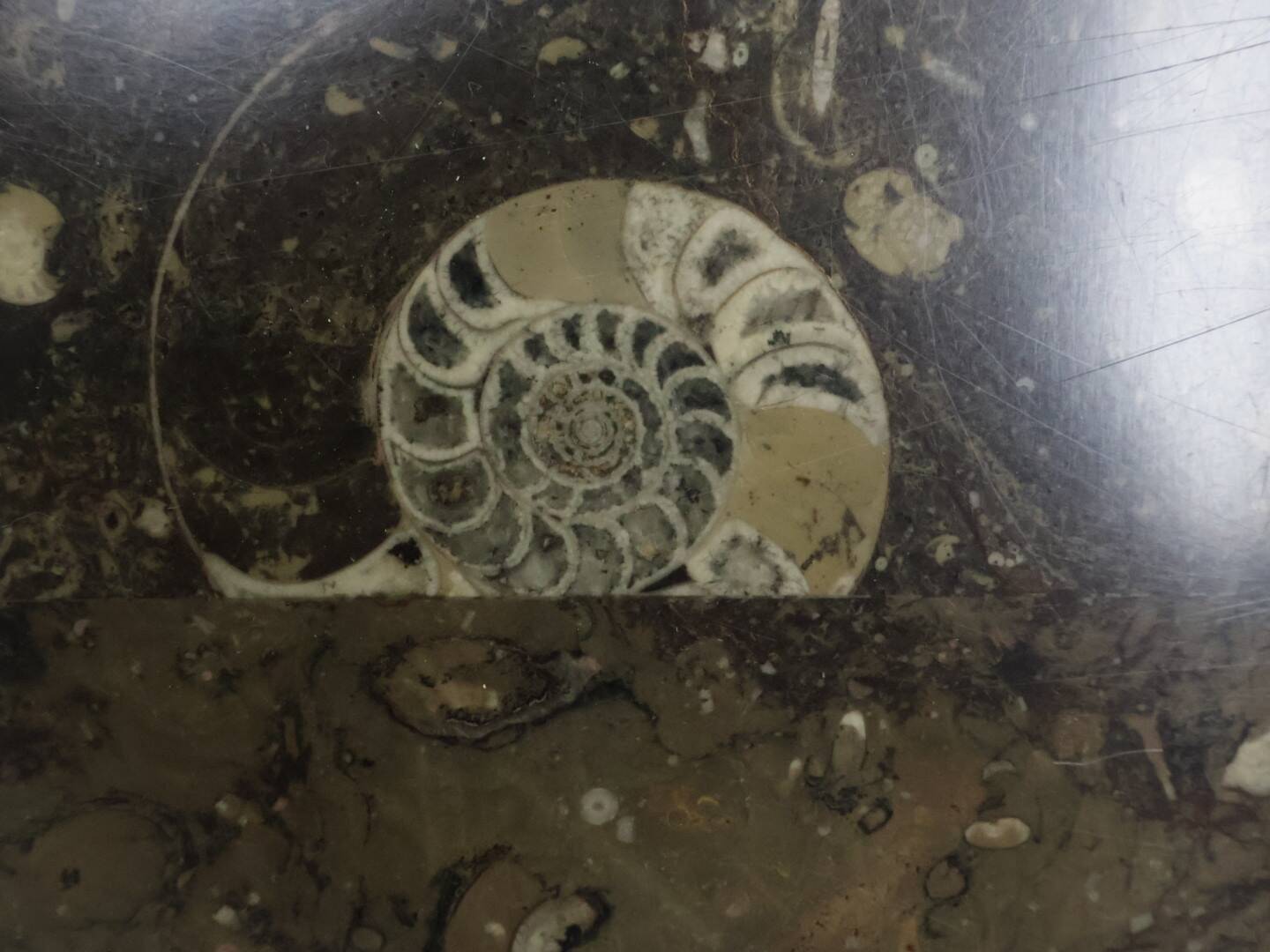 Brutalist salontafl Laauser Fossiel natuursteen