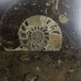 Brutalist salontafl Laauser Fossiel natuursteen