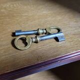 Antoine BASTET in Lyon: Rare Louis XVI style library