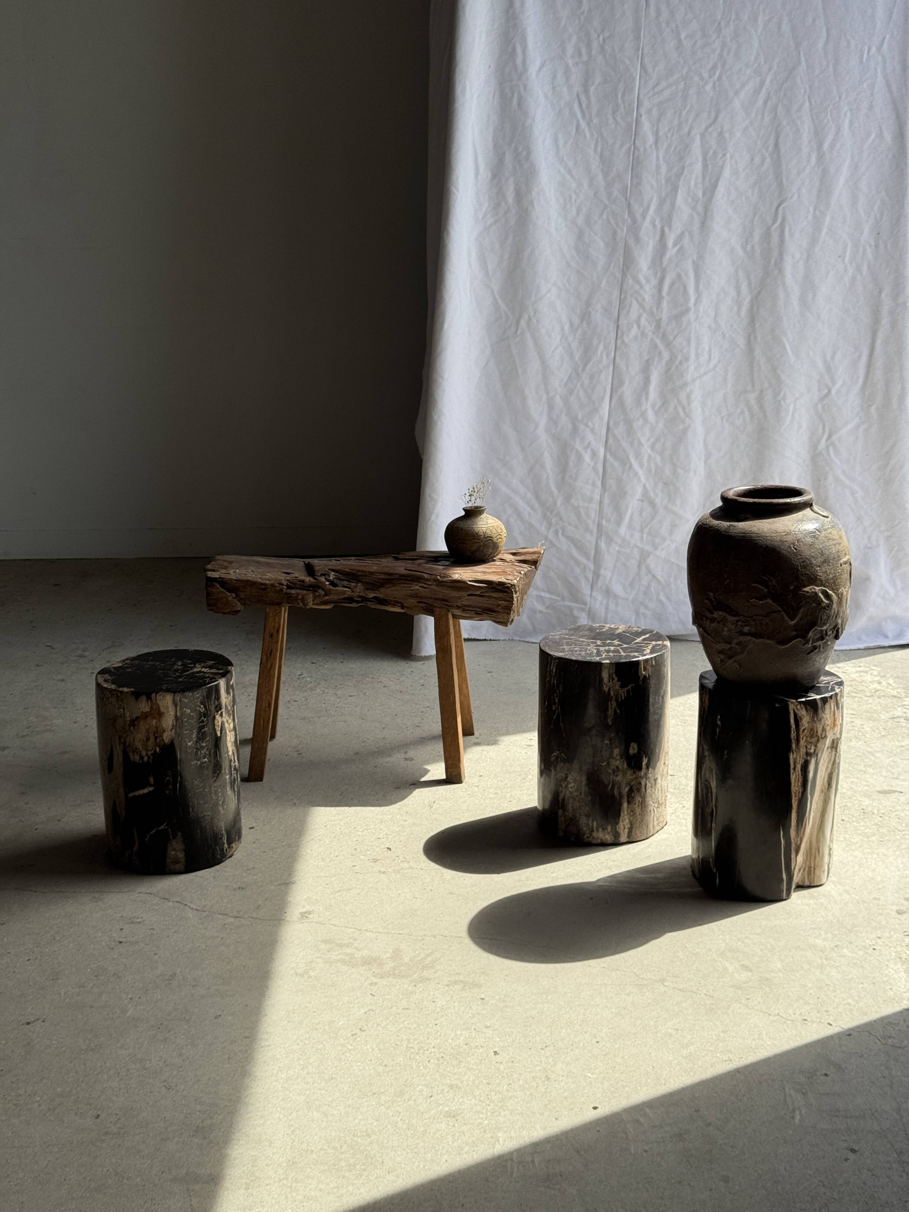 Black petrified wood side table with beige side H35 D24 - 3352