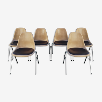 Lot de 6 chaises DSS Charles & Ray Eames pour Herman Miller Edition Vitra