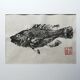 Original Gyotaku depicting a rock fish