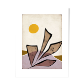 desert