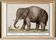 Petite affiche sur l'éléphant , d'après une gravure ancienne de 1610.