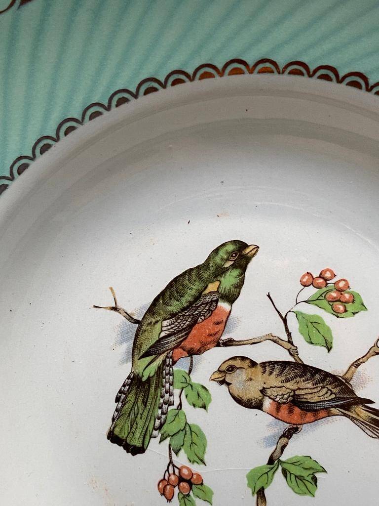 Set of 7 deep plates, turquoise rim and bird pattern.