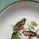 Set of 7 deep plates, turquoise rim and bird pattern.
