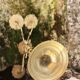 Chandelier brass