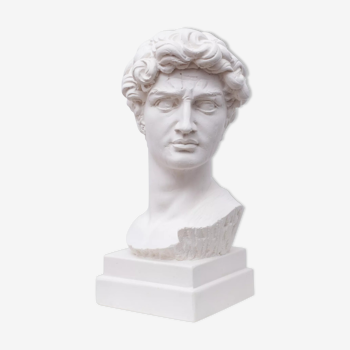 Head David in white plaster Roman Greek sculpture