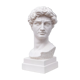Head David in white plaster Roman Greek sculpture