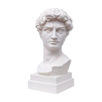 Head David in white plaster Roman Greek sculpture