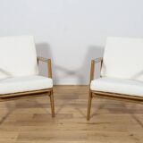 Mid-Century Model 300-139 Armchairs from Swarzędz Factory, 1960s, Set of 2