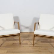 Mid-Century Model 300-139 Armchairs from Swarzędz Factory, 1960s, Set of 2