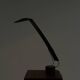 Dove Desk Lamp in Black by Marco Colombo & Mario Barbaglia for PAF Studio