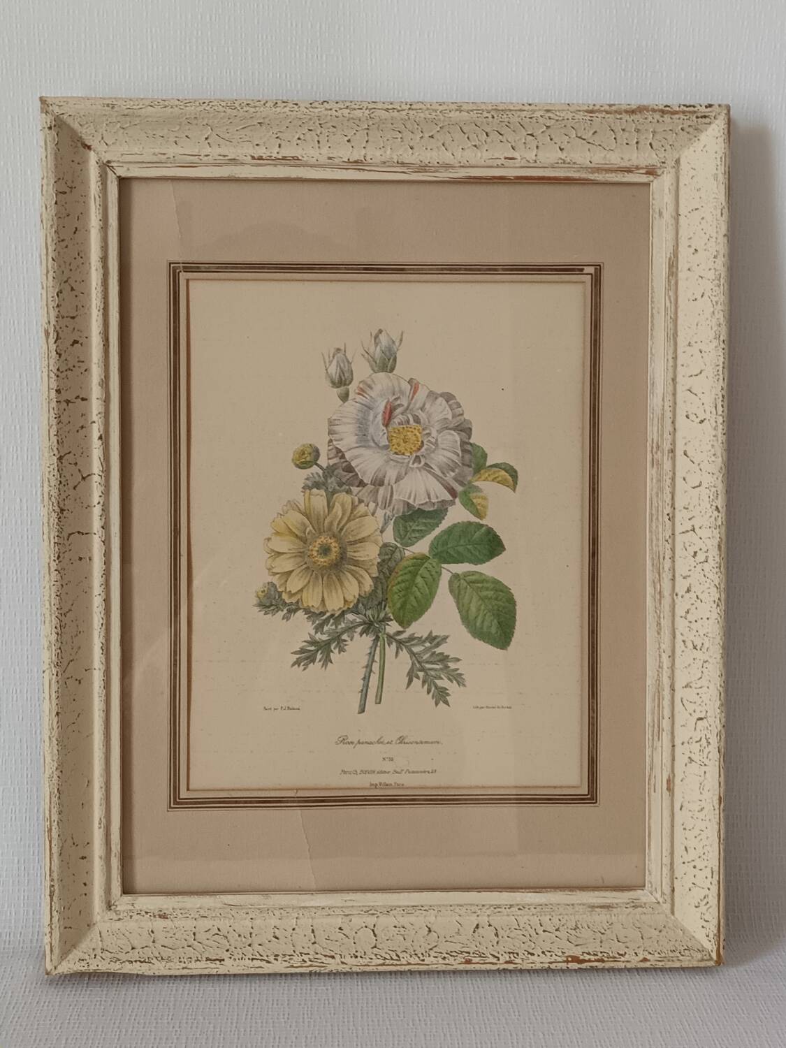 Vintage Redouté Botanical Lithograph