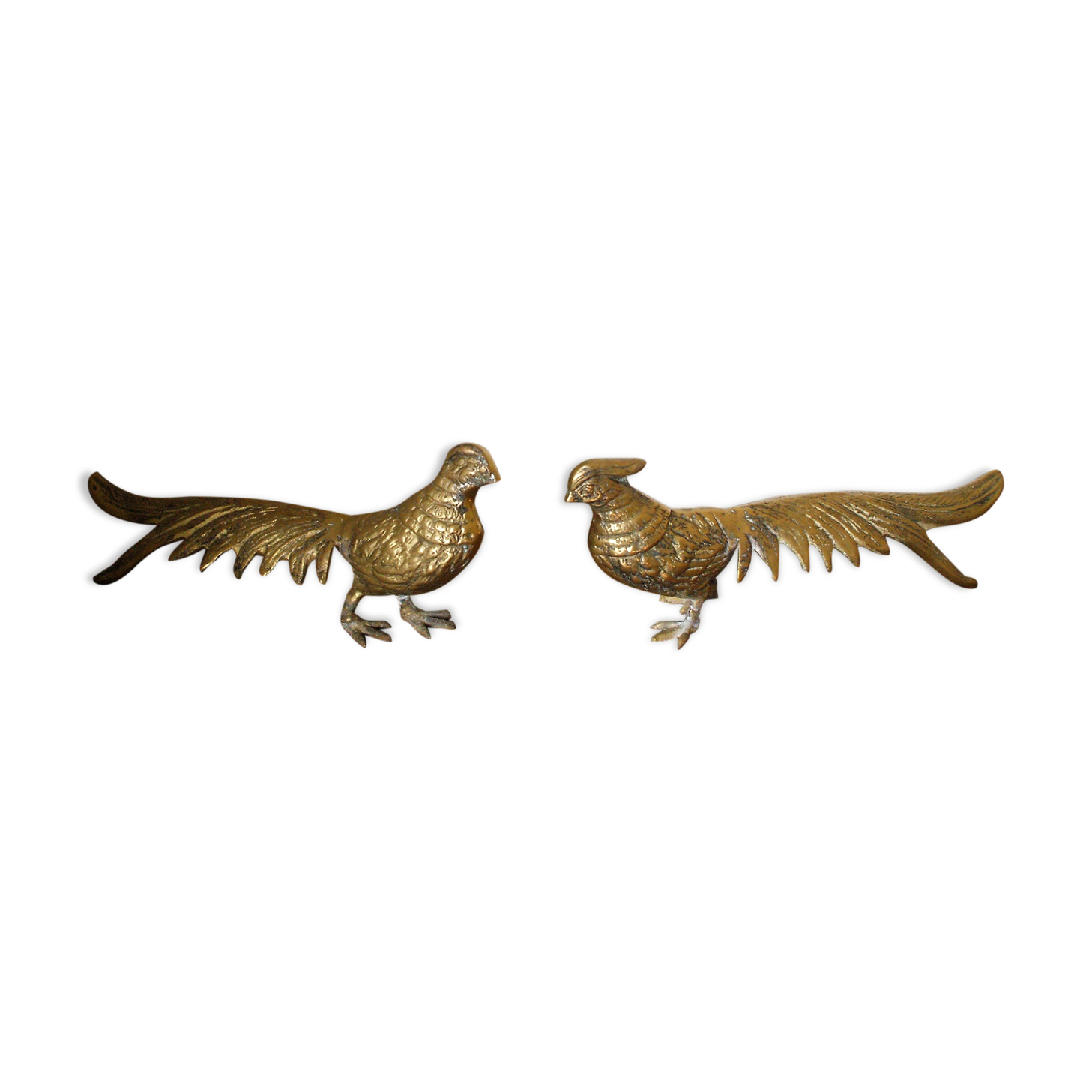 Brass pheasant couple