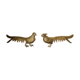 Brass pheasant couple