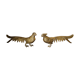Brass pheasant couple