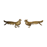 Brass pheasant couple