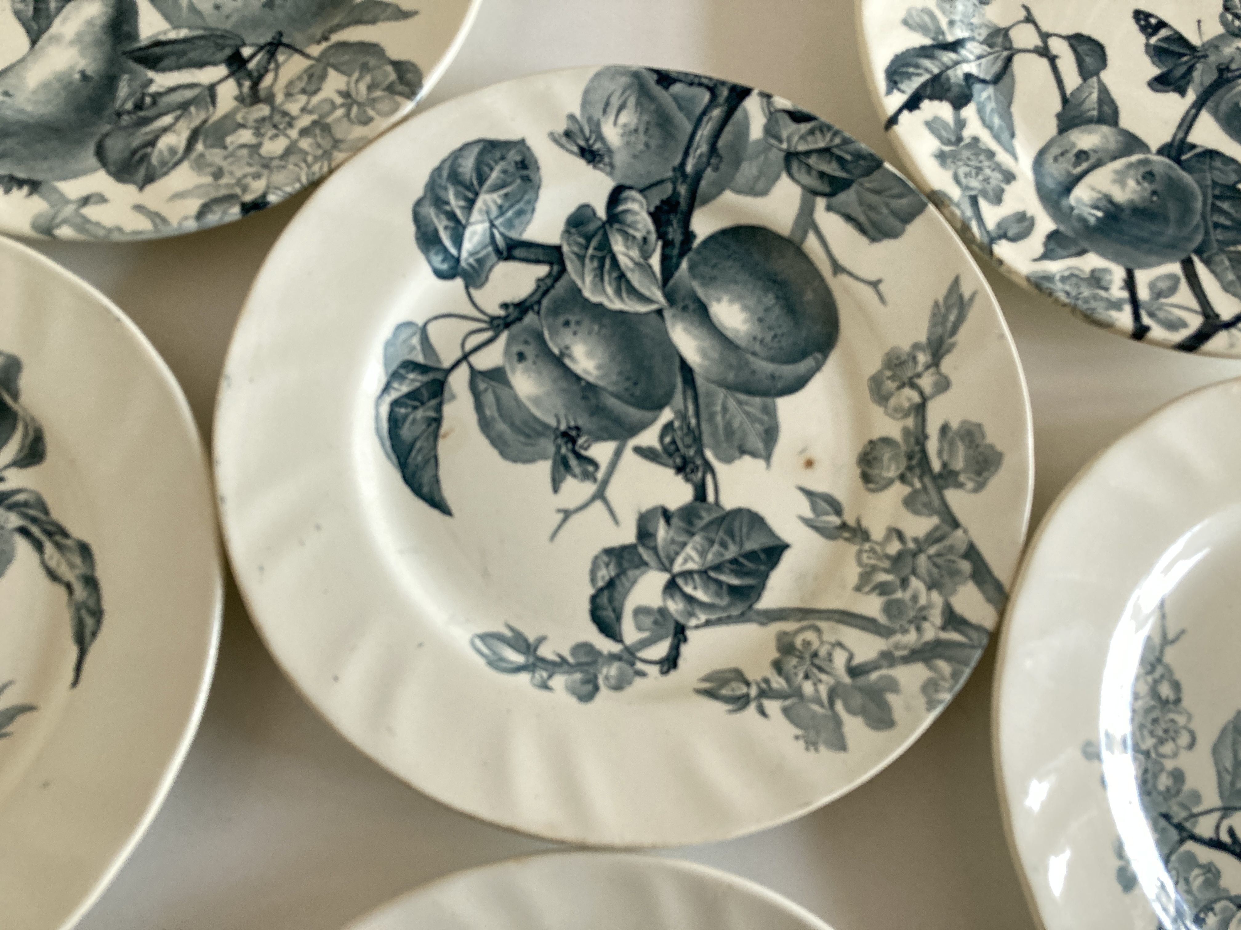 Set of 6 plates Creil Montereau Pomona iron earth early 20th