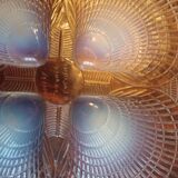 Lalique coupe coquille
