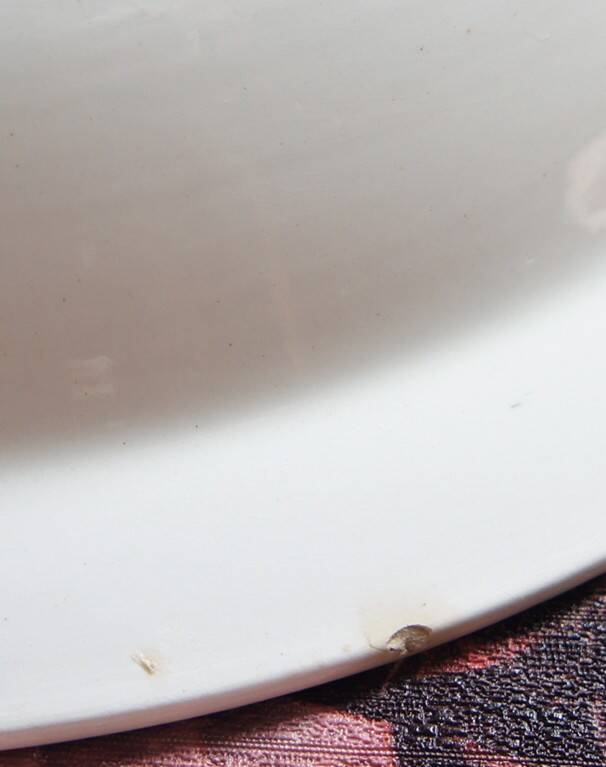 Large hollow dish "Cibon" Sarreguemines & Digoin