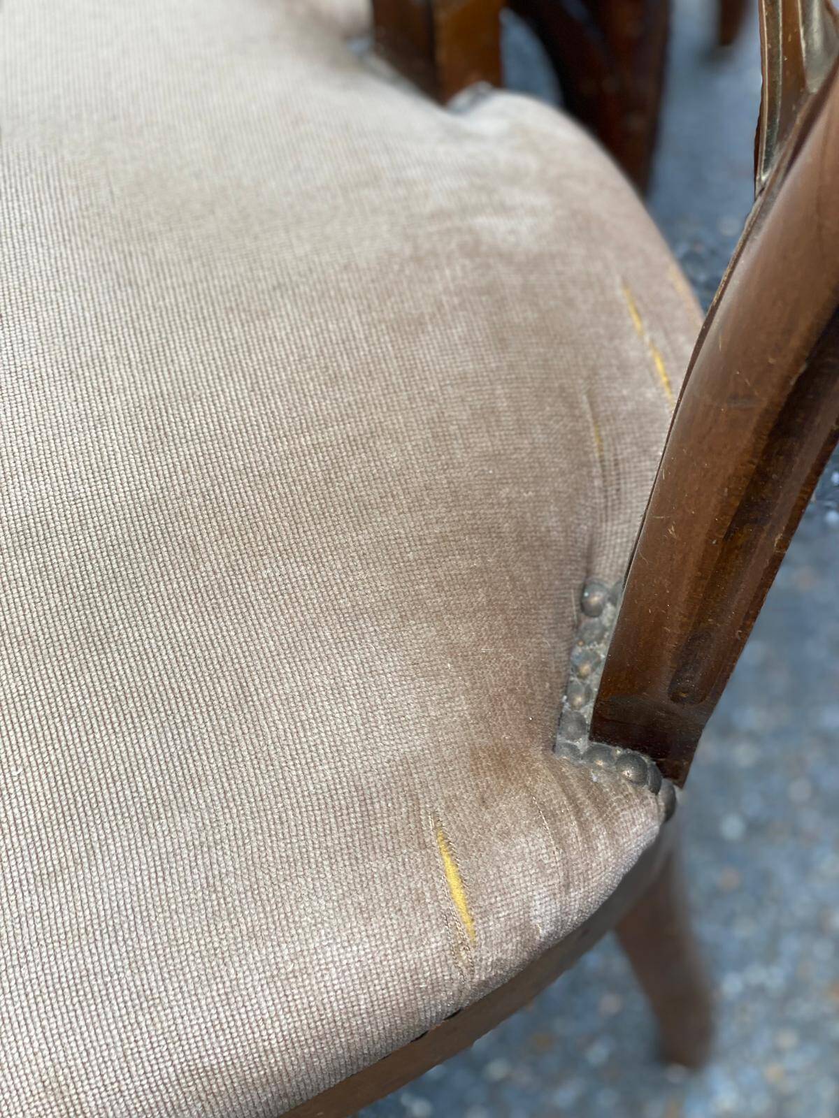 4 or 5 Louis Philippe chairs in solid wood and beige suede, upholstered