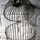 Cage à oiseaux en métal
