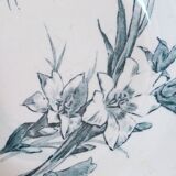 Hollow plates x5, Gien, Glaieul pattern, iron earth