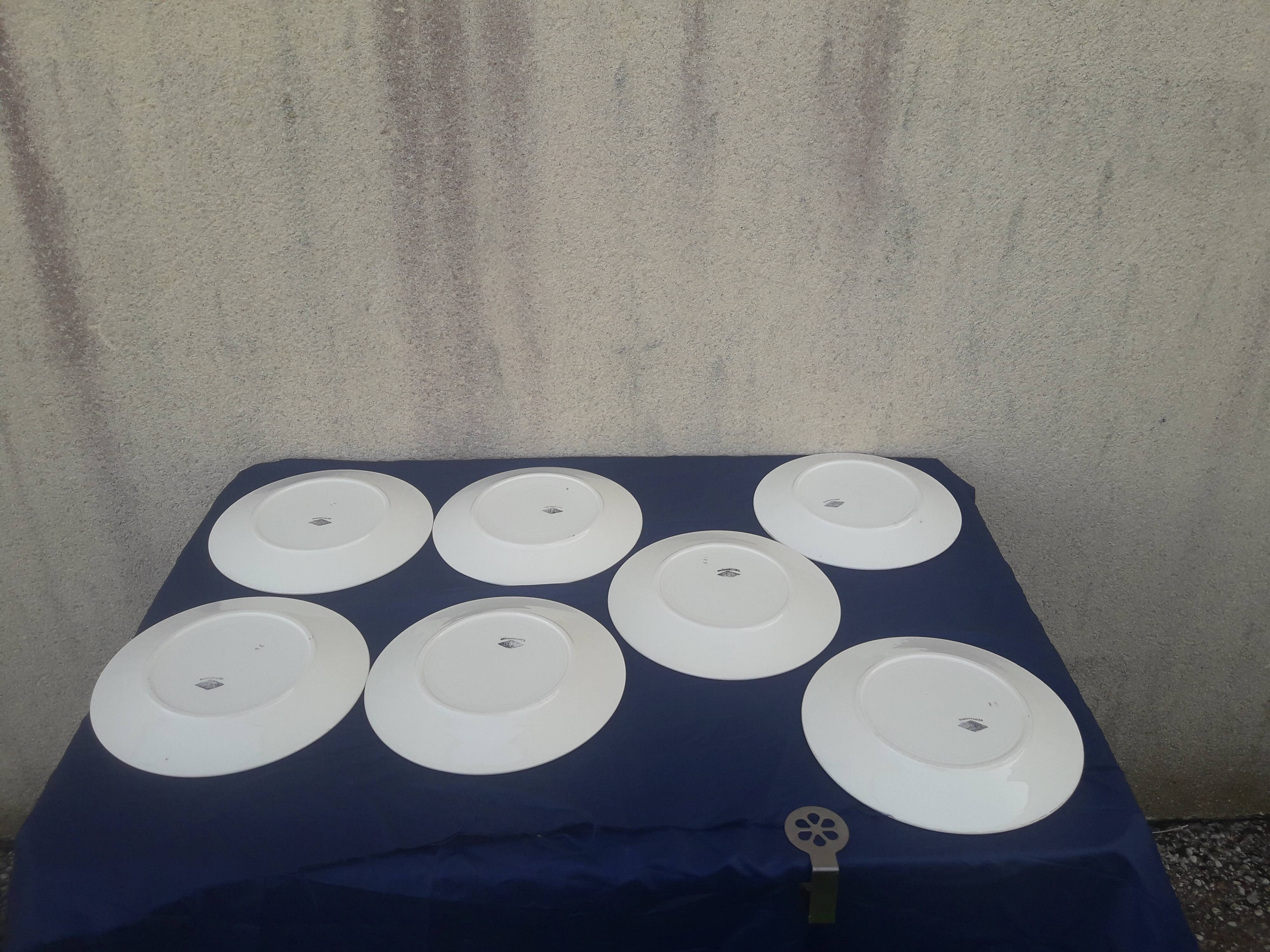 7 flat plates made of Earthenware from Badonviller DOC diam basket pattern 24 cm