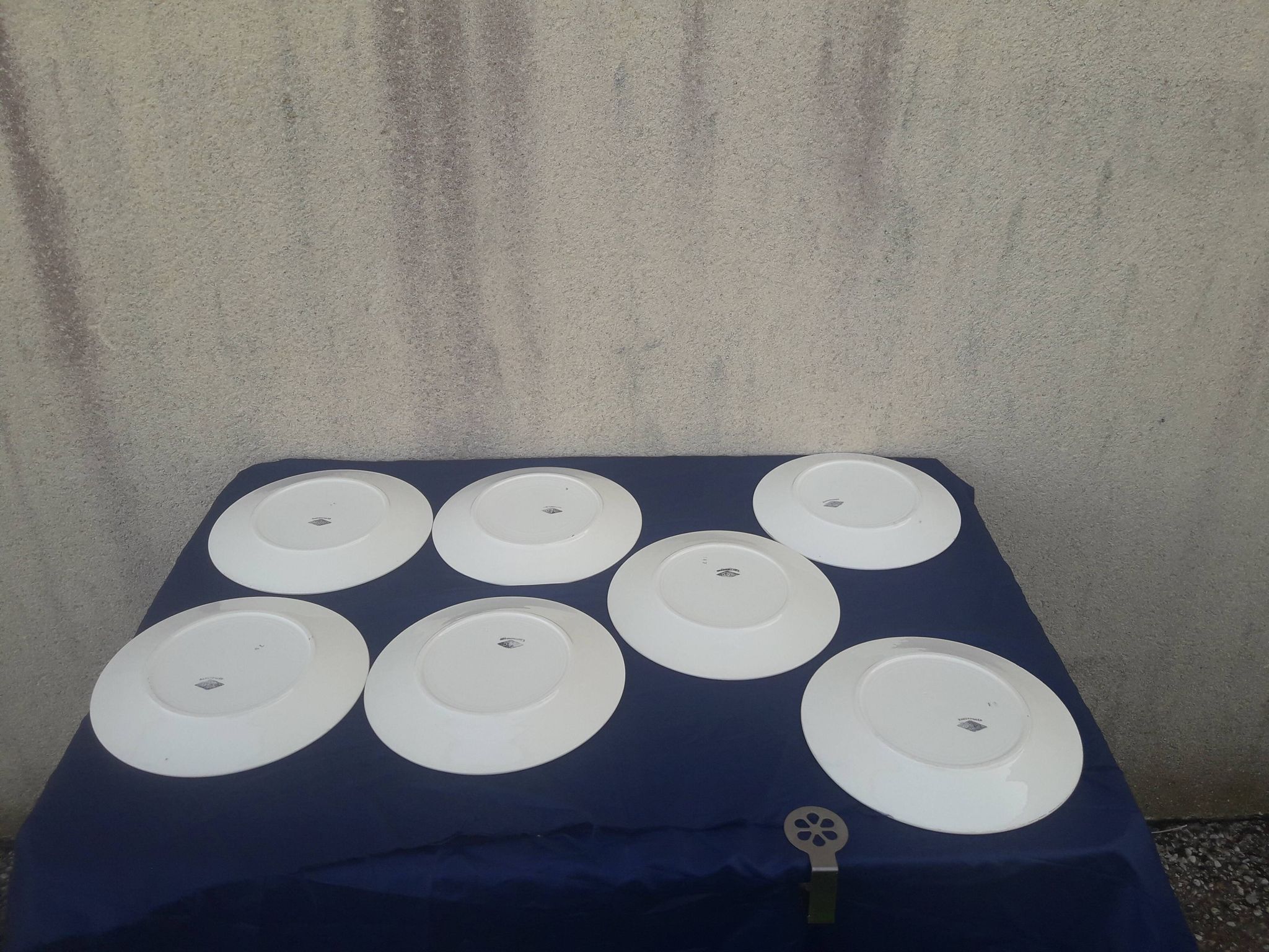 7 flat plates made of Earthenware from Badonviller DOC diam basket pattern 24 cm