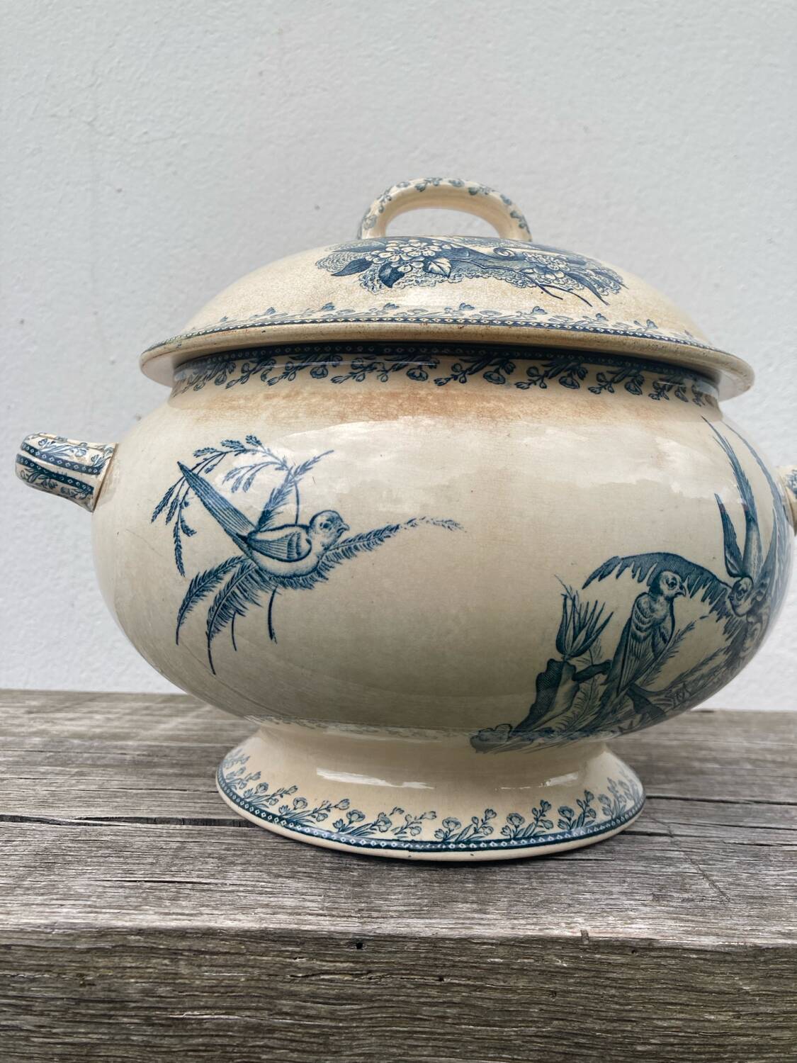 Earthenware tureen tureen Pexonne birds