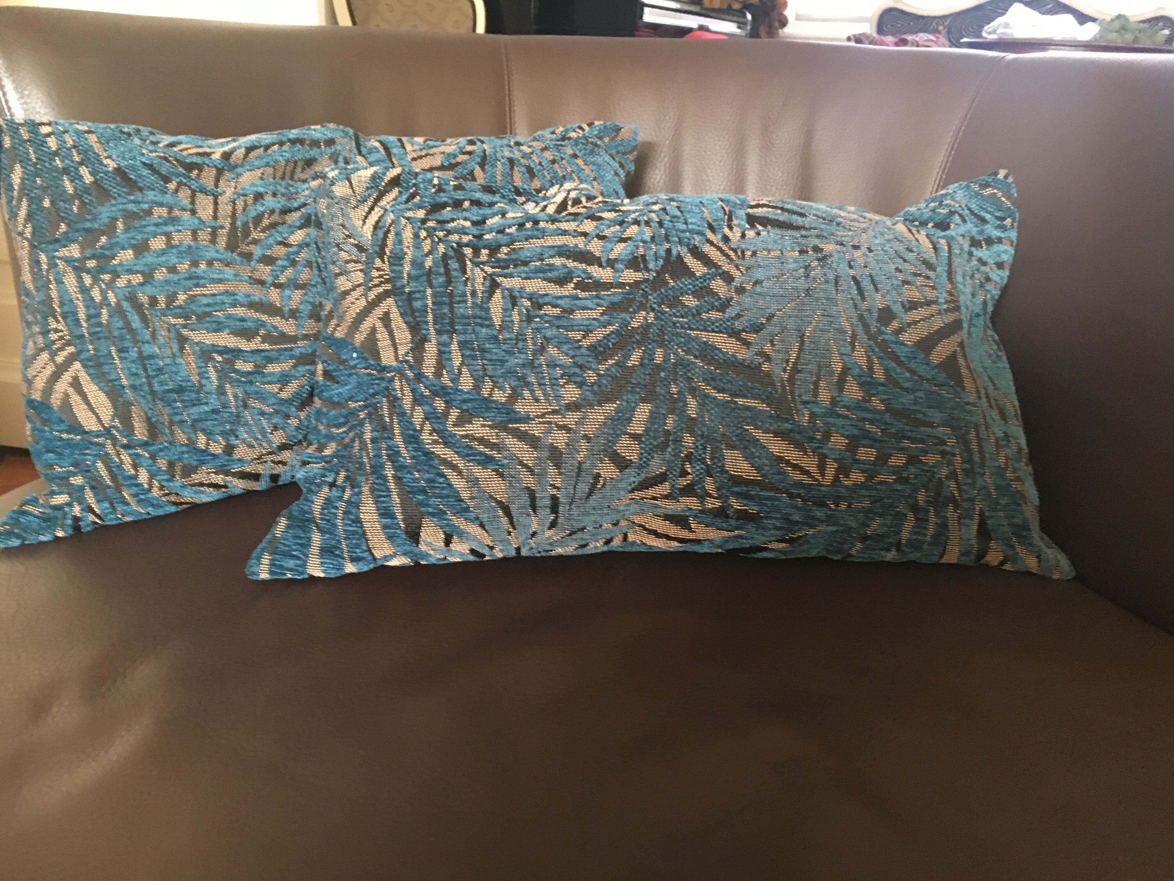 Paire de coussins
