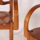 Pair of "organic" armchairs