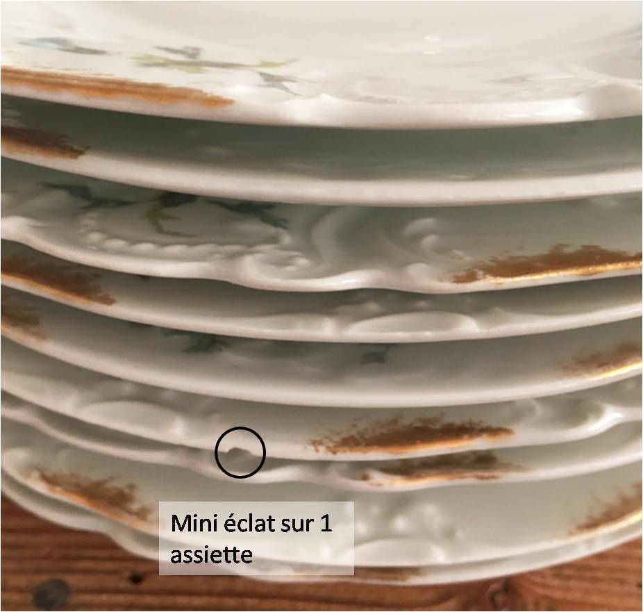 set of 9 plates Clématites porcelain Limoges Art Nouveau