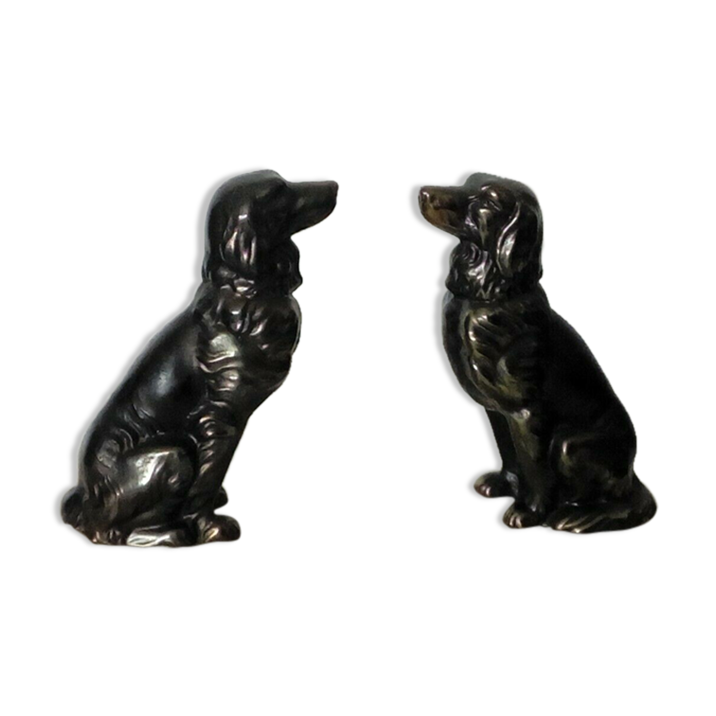 Serre livres chien epagneul breton