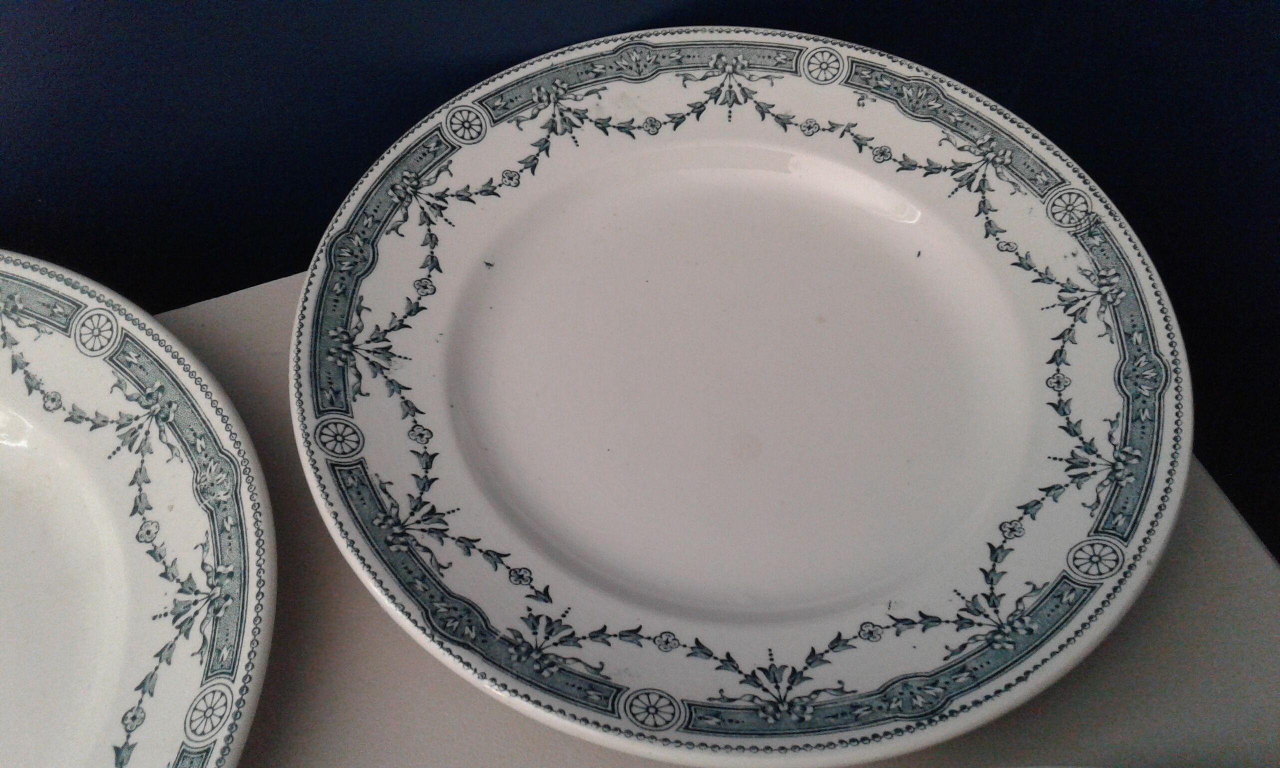 6 semi-hollow plates. Wolf mill . Model provence