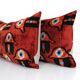 Paire de coussins Ikat