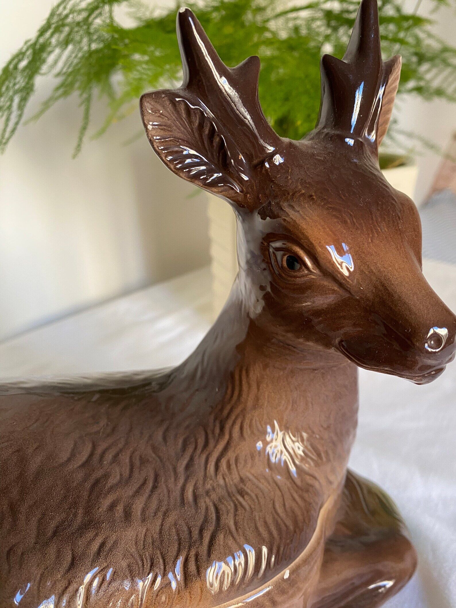 Terrine Cerf - Michel Caugant