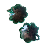 Empty raviers leaf pockets