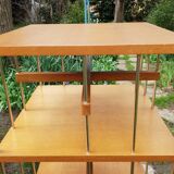 Vintage revolving library