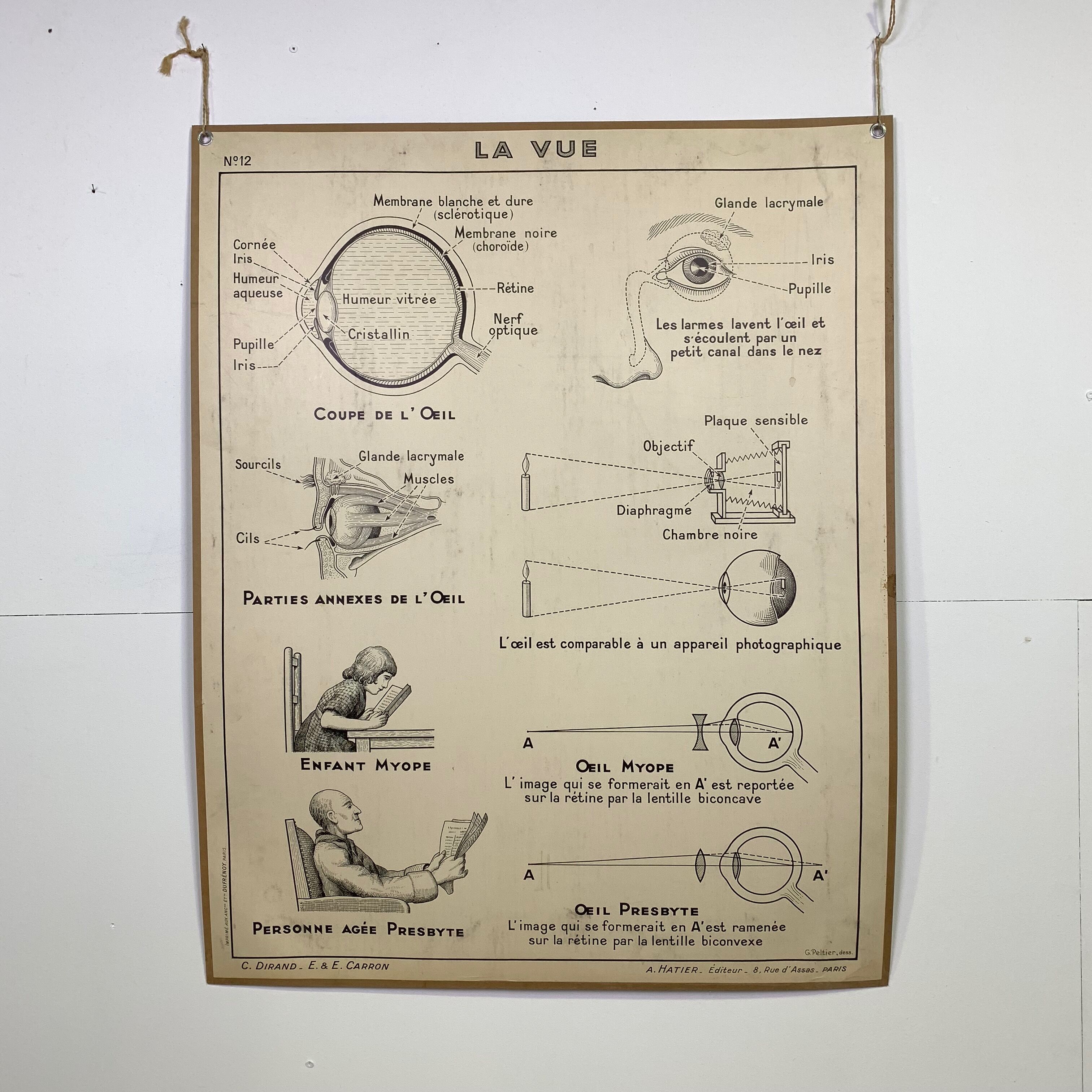 School poster Hatier sight, hearing, smell, taste, touch