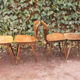 Set of 4 Baumann chairs, model called ant
