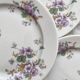 4 porcelain dessert plates with floral decoration by Bernardaud Limoges
